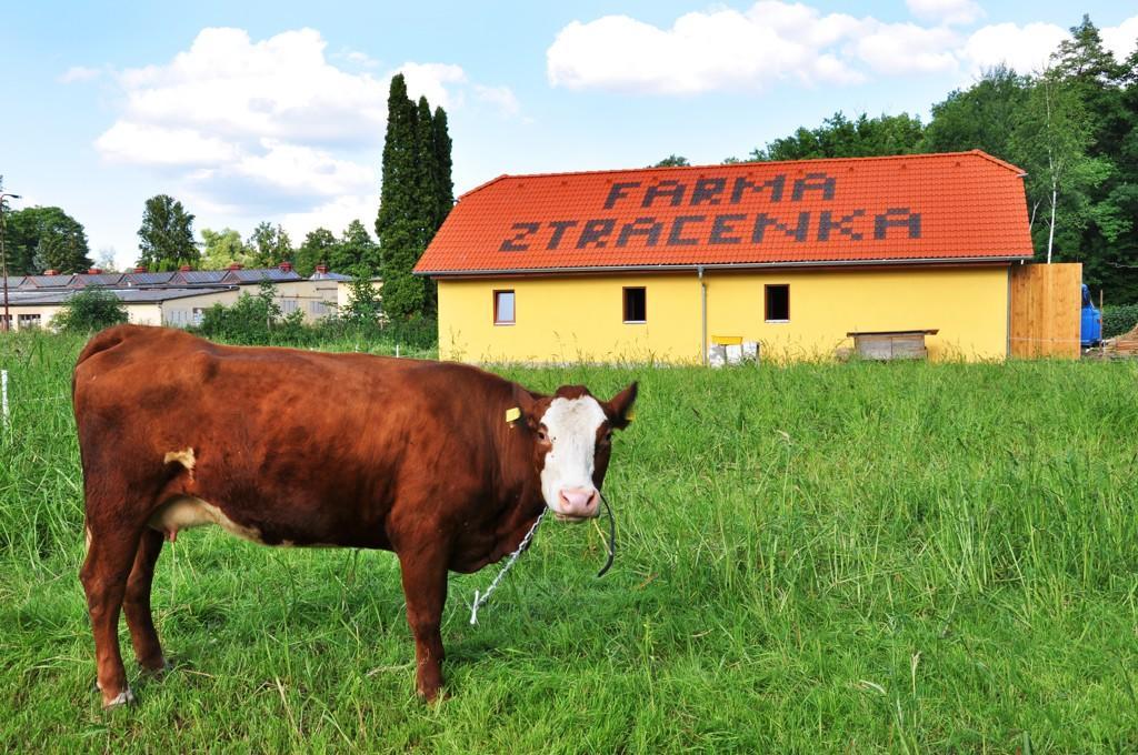 Farma Ztracenka Porici nad Sazavou Exterior foto