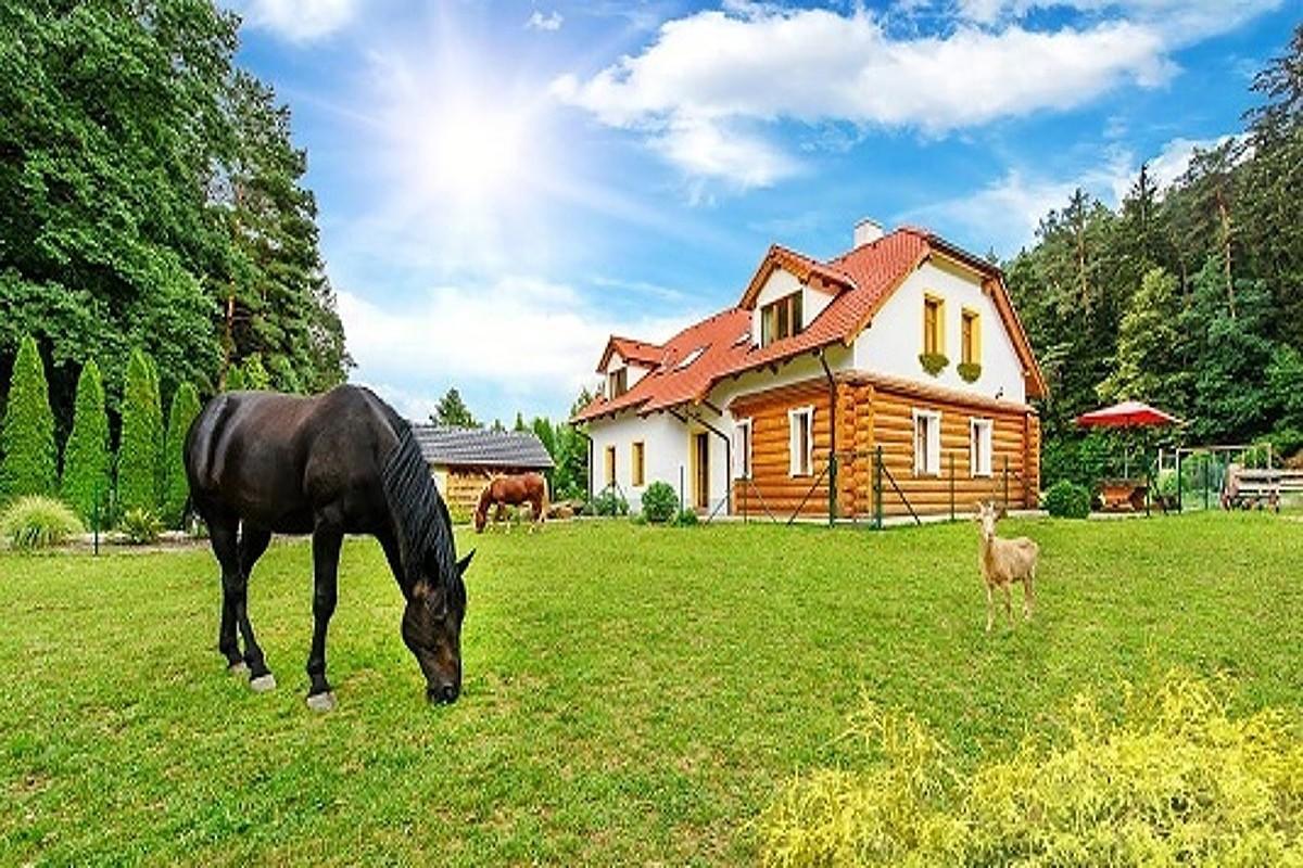 Farma Ztracenka Porici nad Sazavou Exterior foto